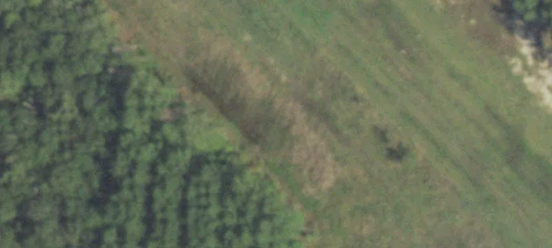 Pelican Rd