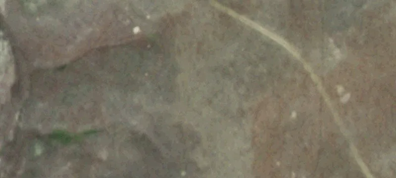 Bia 41