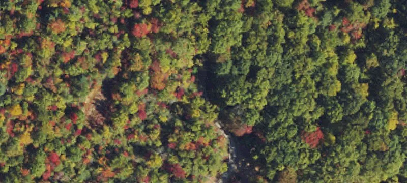 3.91 acre Sanctuary Ln