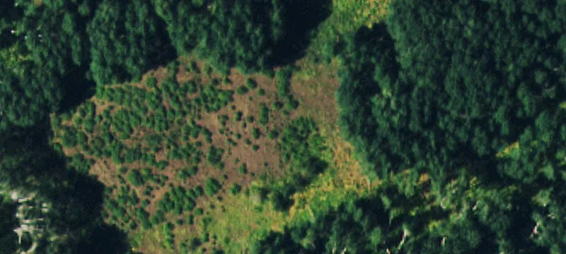 41763 Road