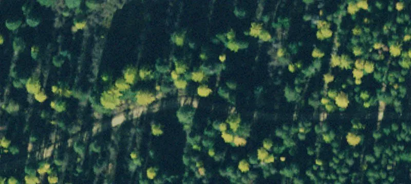 Nhn Silver Butte Rd