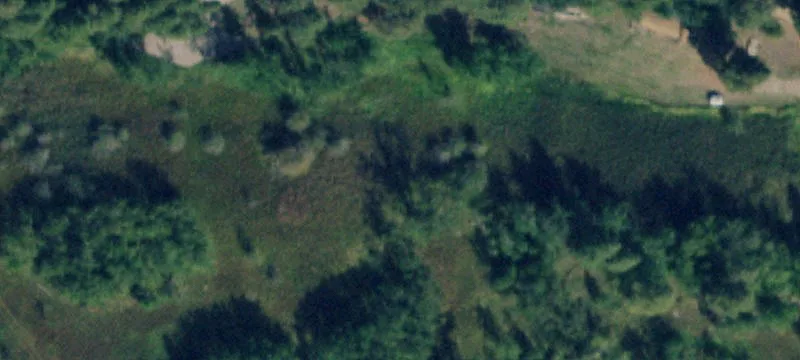 320 Holt Dr