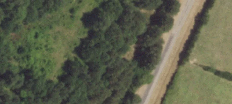 6545 Fm 1159