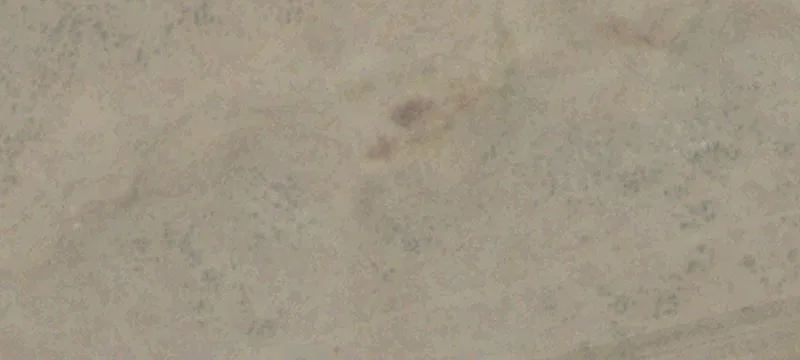 Elk Rdg Rnch