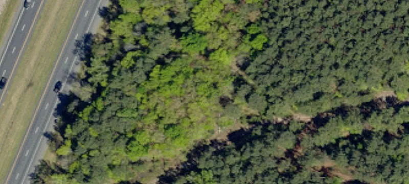 Fire Tower Rd