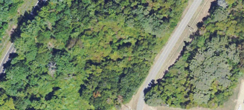 225 Sunnybrook Rd