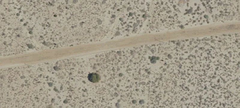 Ft Tejon Vic Bob Gaps Rd