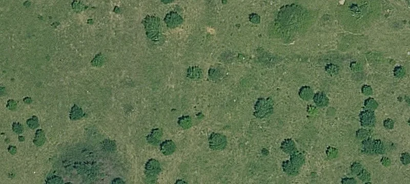 00000 Gorman Rd
