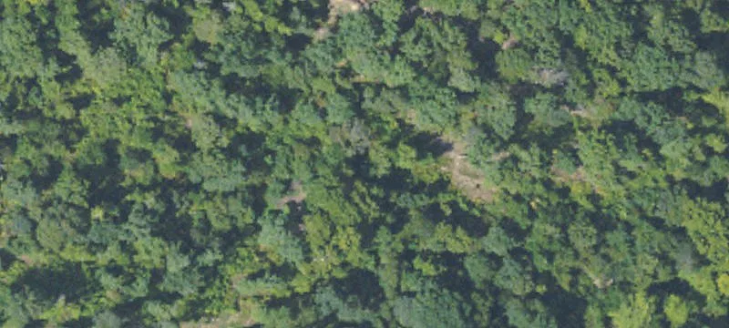 9 Acres In Yalobusha