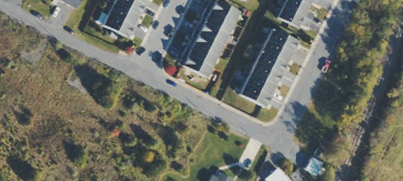 Saccharin Ln