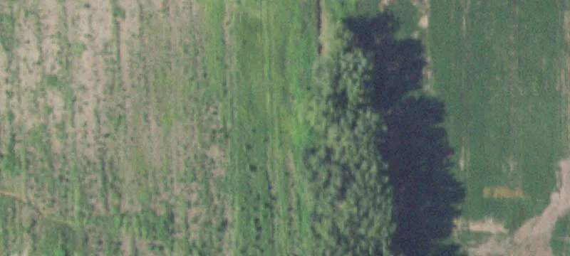 Potential Homestead Lots