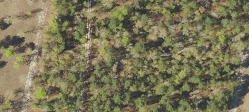 427 Bluffwood Rd
