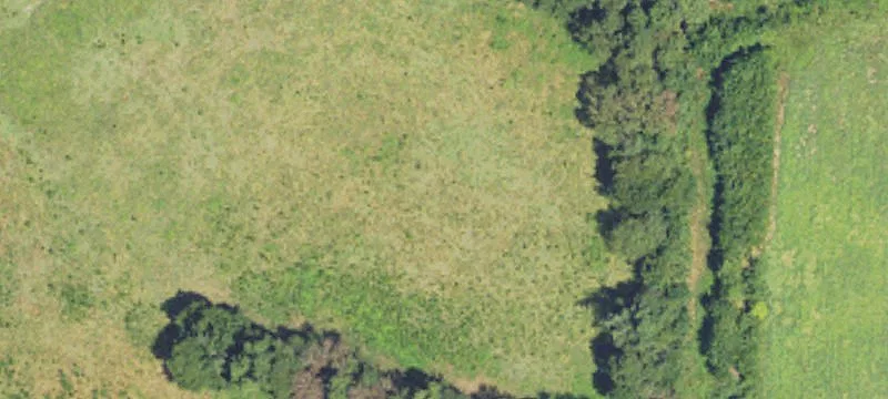 83.5 Acres In Madison