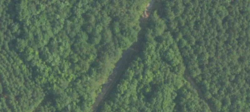 000 County Road 3635