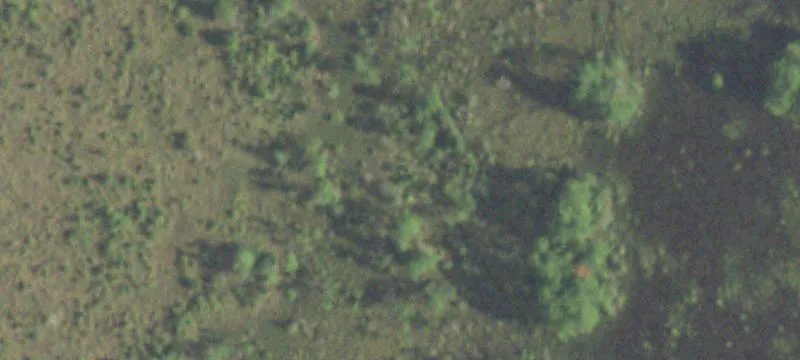 3426 Fm 1131