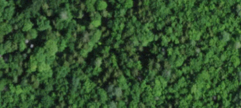 3401 Sh 11