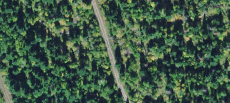 Nhn Upper Johnson