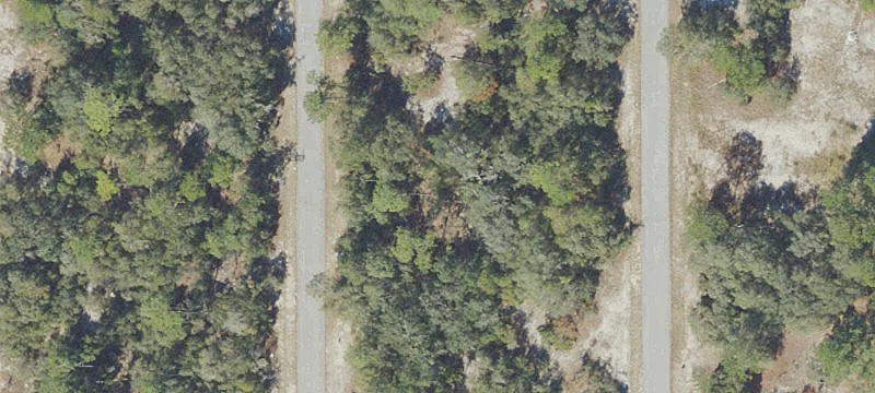 1342 St Augustine Ct