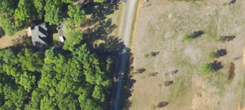 242 Persimmon Dr