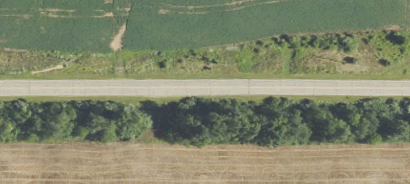 Taylor Rd