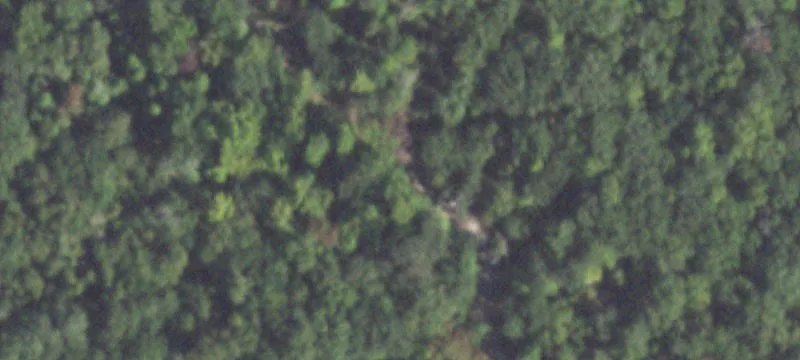 Fm 2494