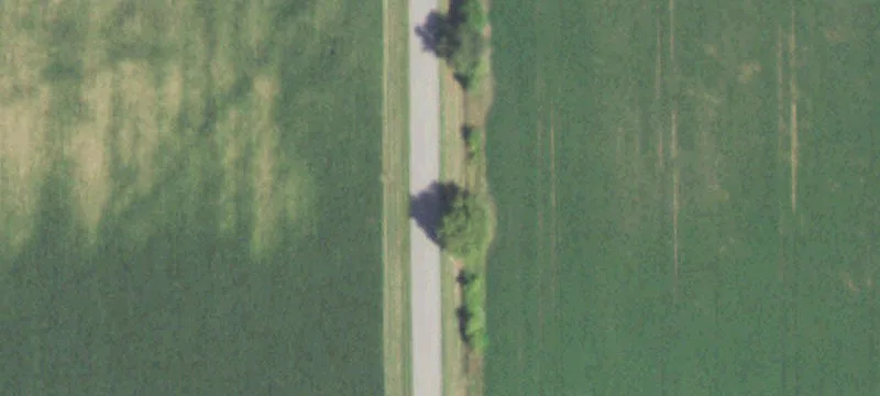 39.23 Acres Riley Rd