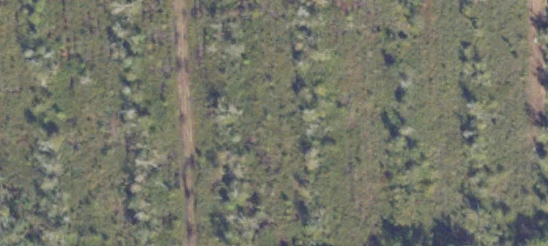 Perimeter Rd