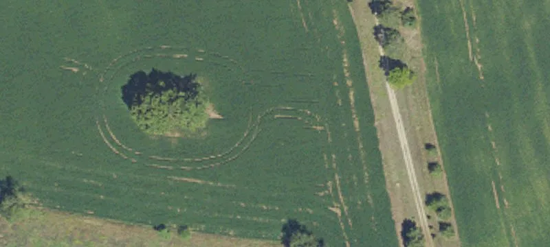 18808 Us-12 Hwy