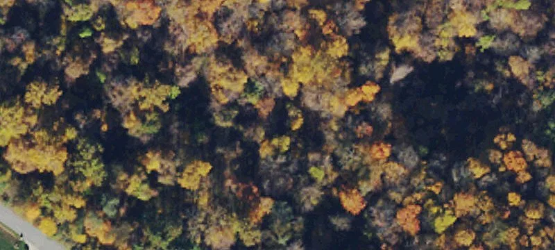 30.889 AC Picturesque Land For Sale