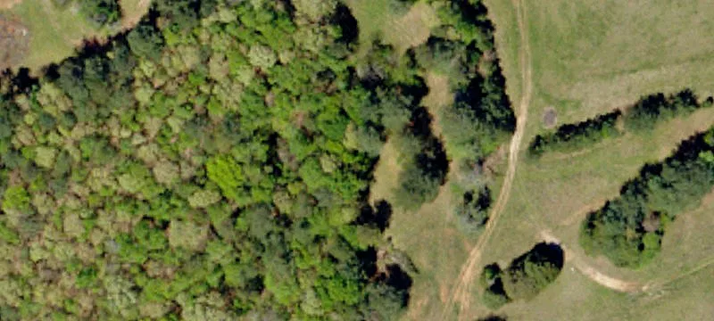 Neely Ferry Rd 