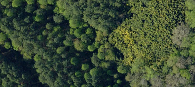 Twelve Mile River | Tract One