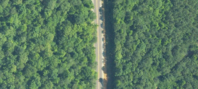Will Walker Road