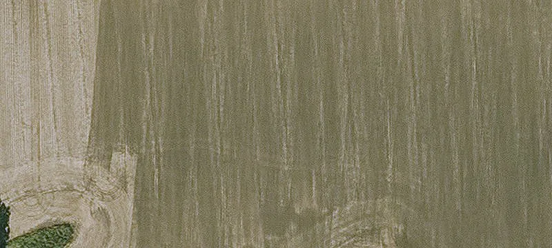 40000 SF The Willow Portfolio