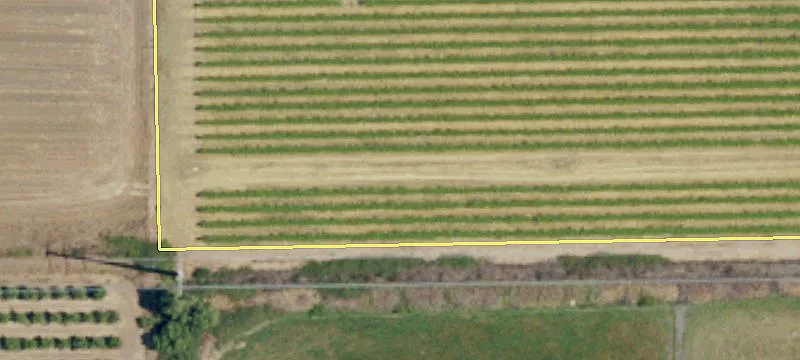 ± 200.3 Acres of Bare Land for Crop Development