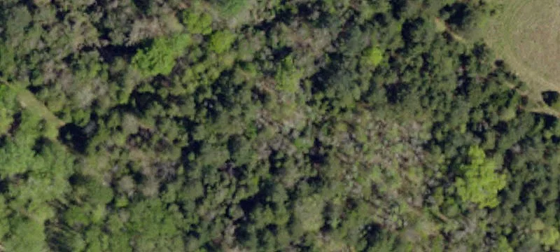 8 acre open field with room to expand recreational land