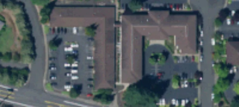 Renovated Pet Hospital For Sale