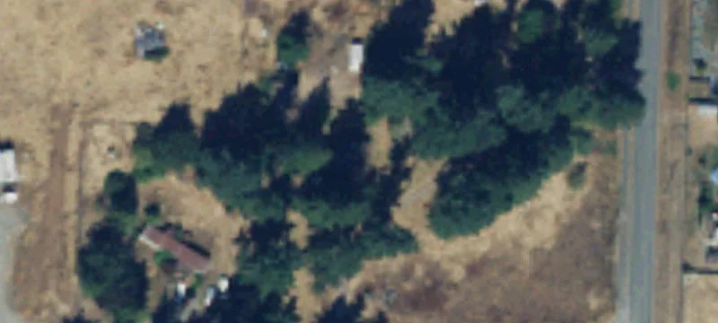 Exceptional 55-Acre Raw Land Opportunity