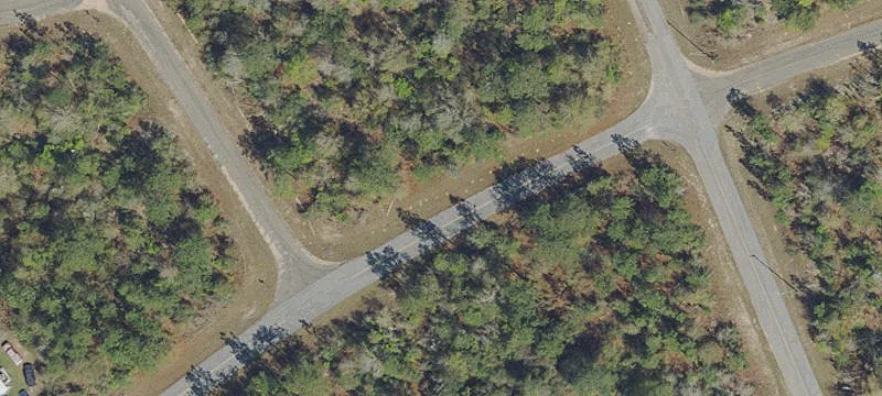 Oversized Lot in Sunny Hills