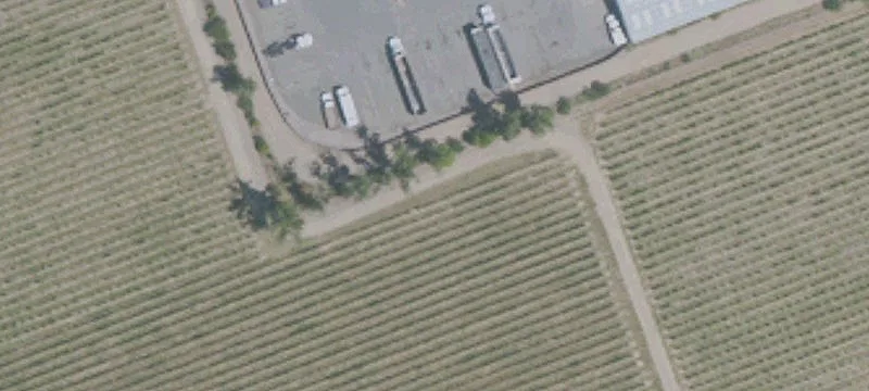 Ukiah Vineyard with Highway Frontage
