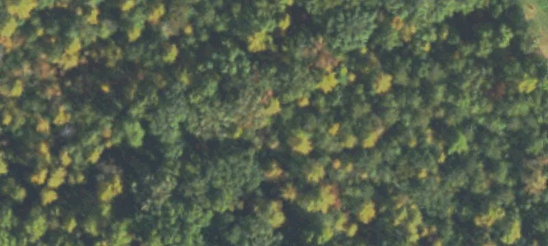Estate Lot in Buford Schools