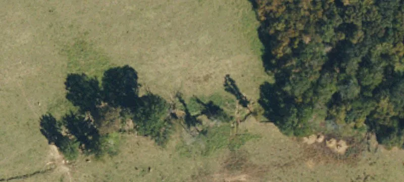 47 Acres in Peachland, NC