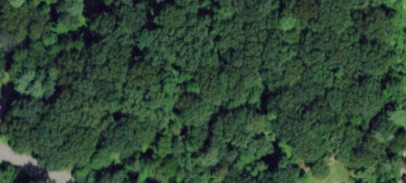 Red Hook Wooded Parcel