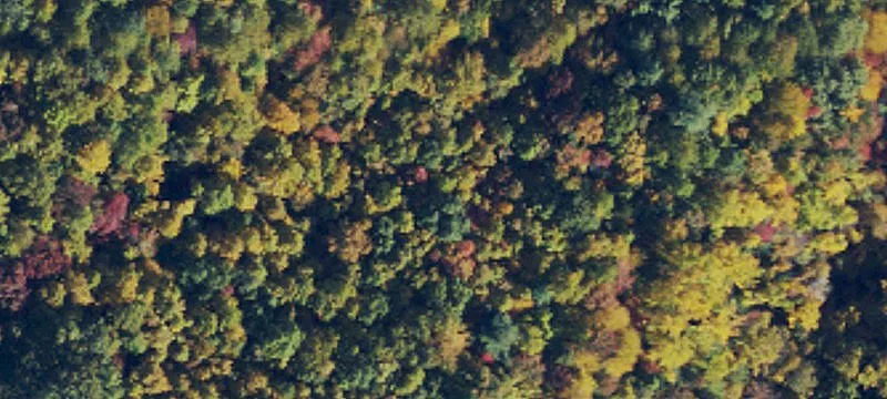 Wooded Lot in Moravian Falls