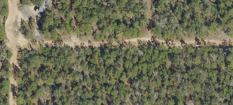 Wooded Lot in Mossy Head