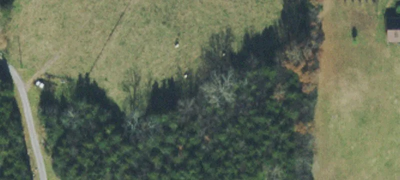 Scenic Land with Pasture, Woods