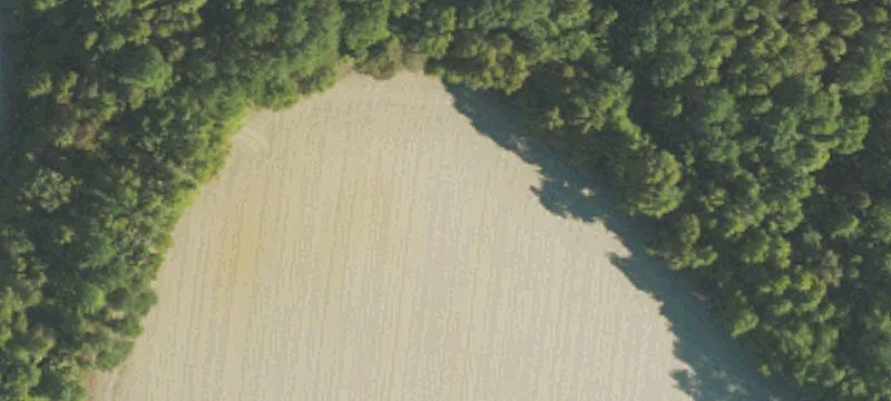 Agricultural Land with Tax Considerations
