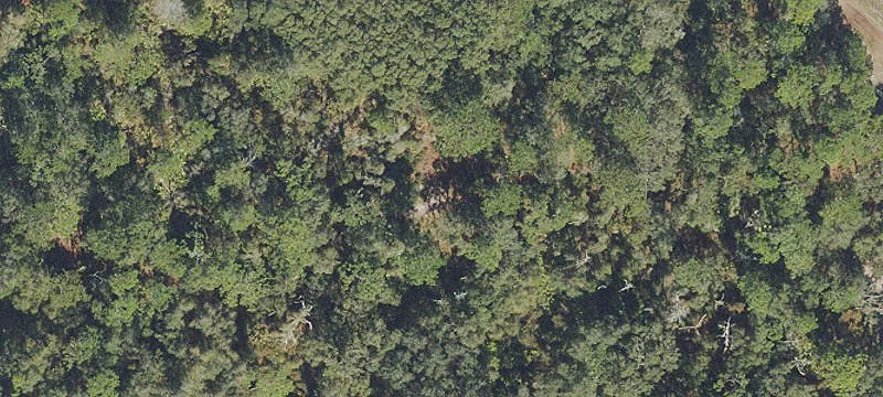 Buildable Land Near Lake Nona