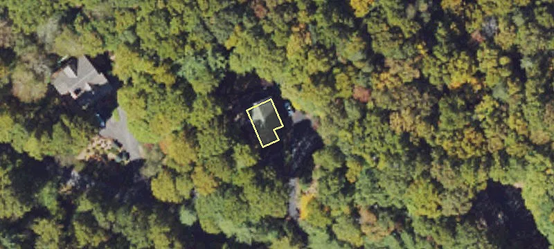 Boone Fly-Fishing and Nature Community