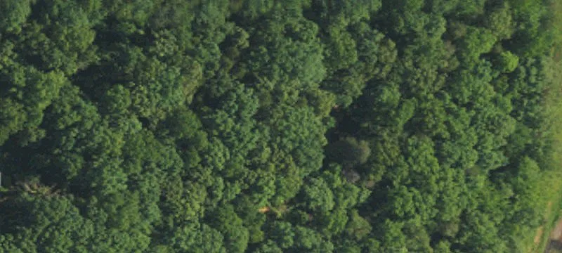 Wooded Lot Near Golf Course