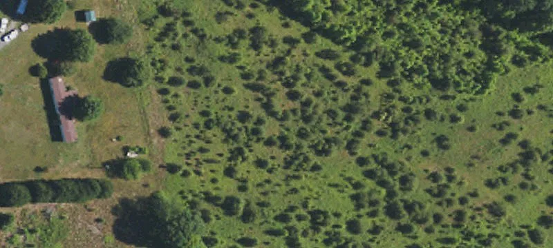 Development Ready Reidsville Land Parcel